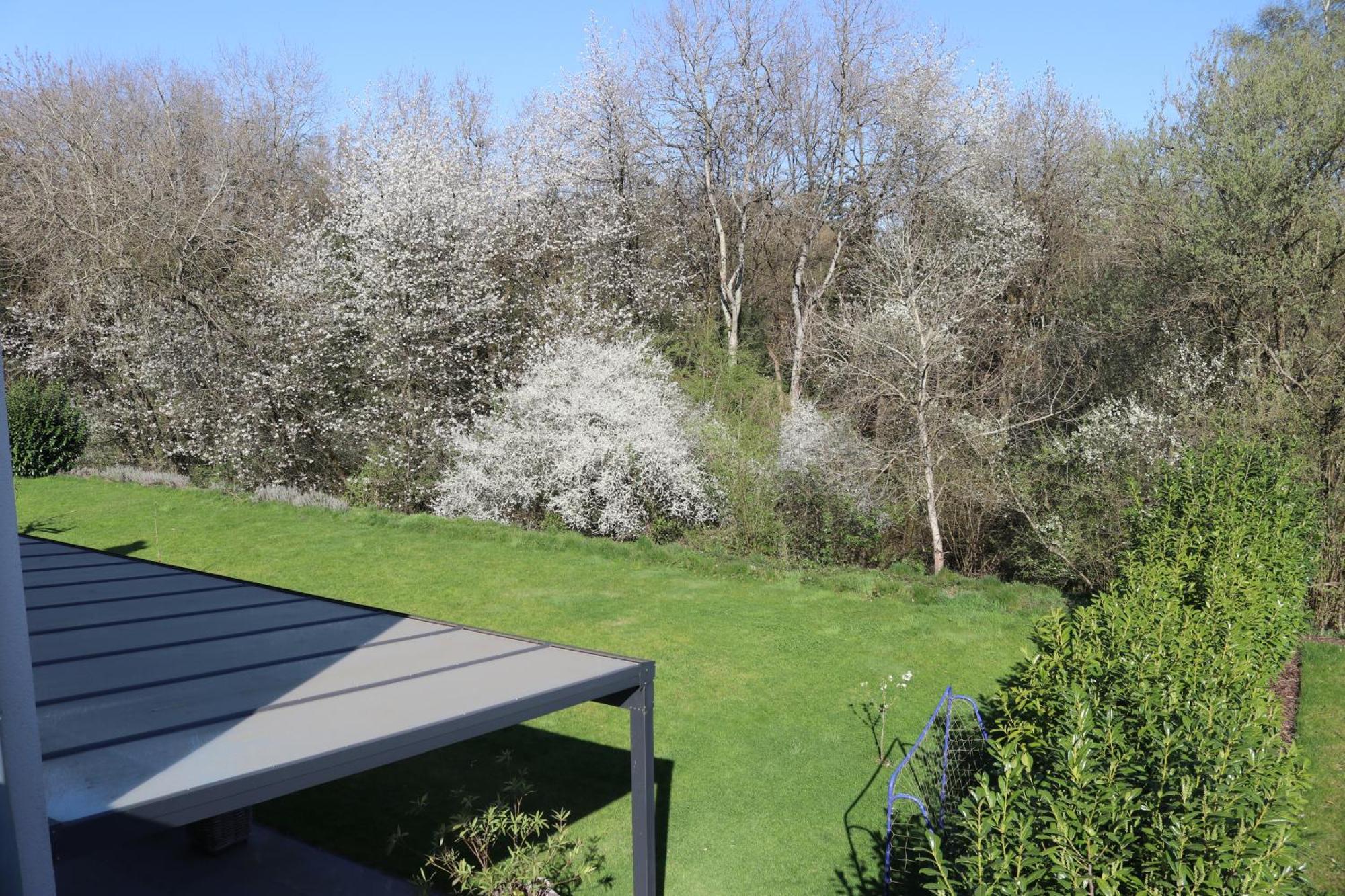 Ferienwohnung Nalbach Wohnung 1 Dış mekan fotoğraf